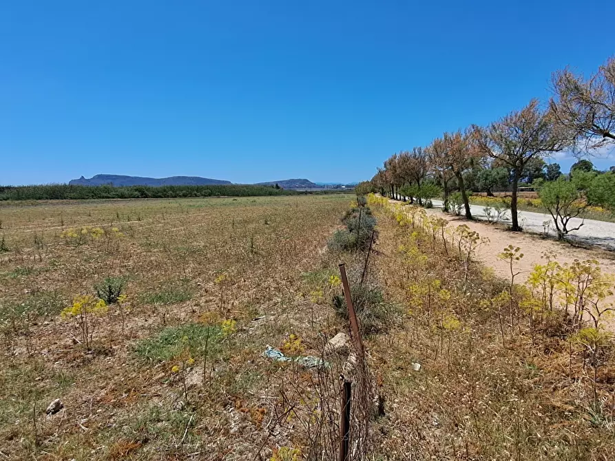 Immagine 20 di Terreno agricolo in vendita  a Quartu Sant'elena