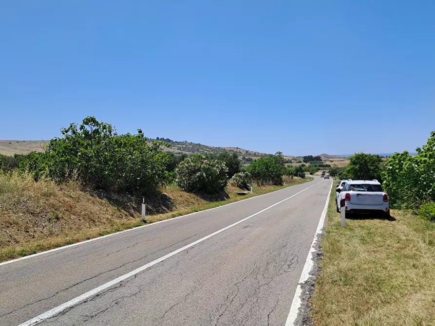 Immagine 1 di Terreno agricolo in vendita  a Settimo San Pietro