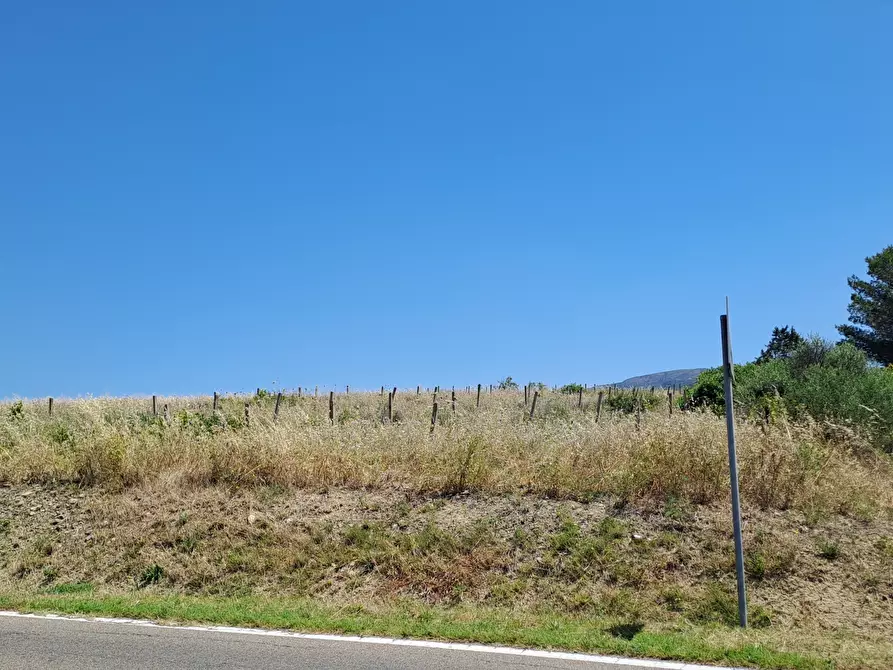 Immagine 12 di Terreno agricolo in vendita  a Settimo San Pietro