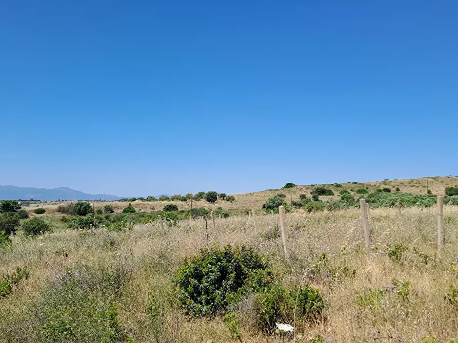 Immagine 16 di Terreno agricolo in vendita  a Settimo San Pietro