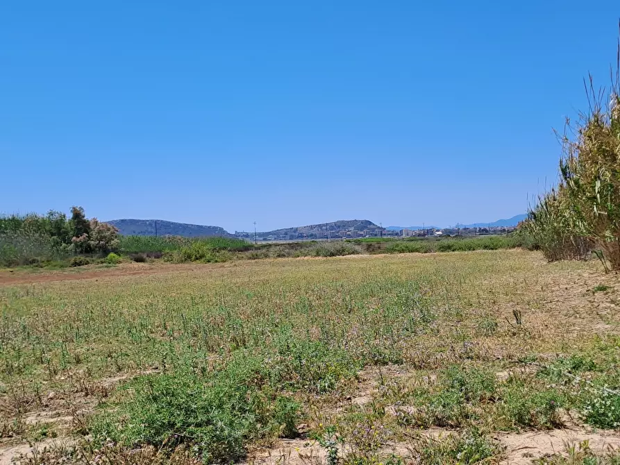 Immagine 17 di Terreno agricolo in vendita  a Quartu Sant'elena