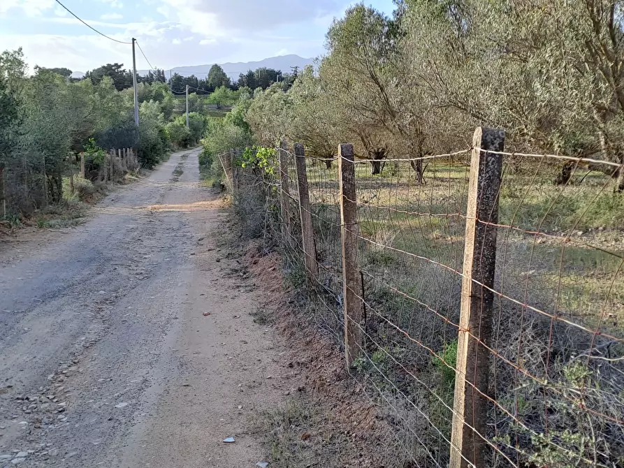 Immagine 1 di Terreno agricolo in vendita  in Via dei Gladioli a Quartucciu