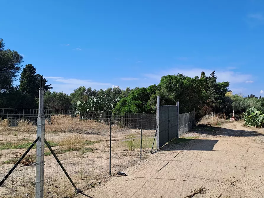 Immagine 5 di Terreno agricolo in vendita  a Quartucciu