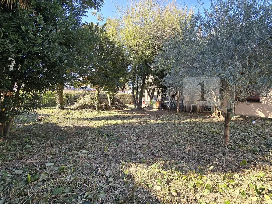 Immagine 9 di Casa indipendente in vendita  in via Veneto 52 a Castegnero