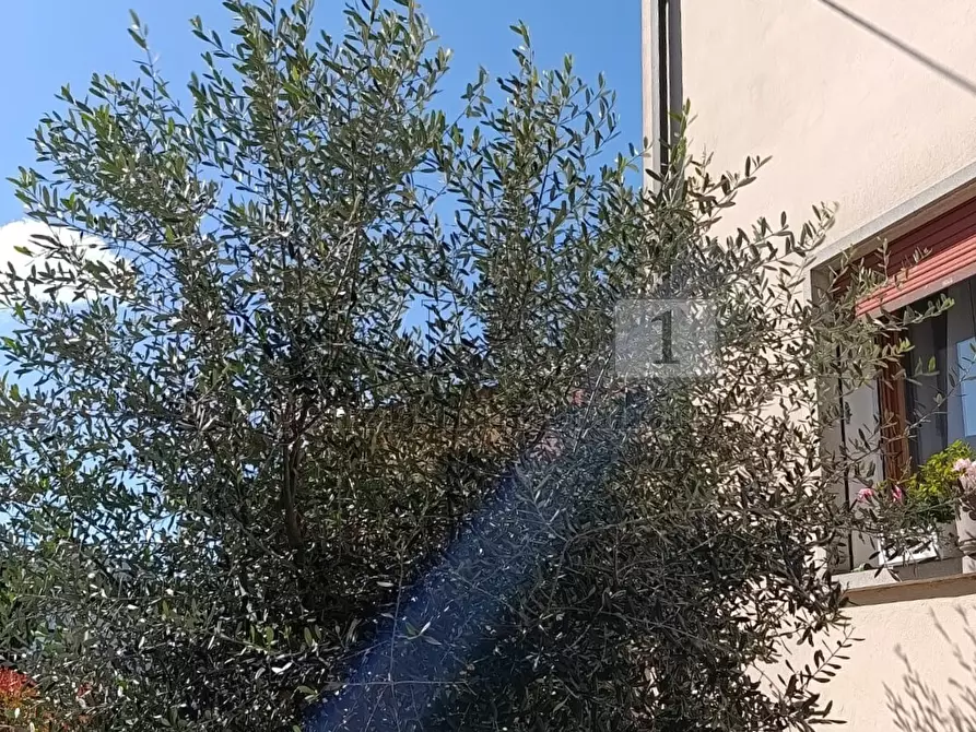 Immagine 20 di Villetta a schiera in vendita  in Piazza Umberto I' a Albettone