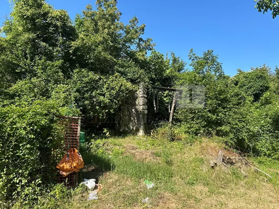 Immagine 4 di Rustico / casale in vendita  in Via Tavella 10 a Barbarano Mossano