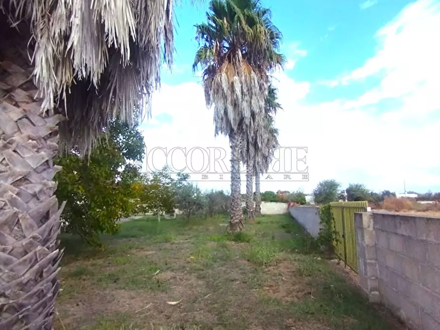 Immagine 13 di Casa indipendente in vendita  in Via Passo del Lupo 4 a Matino