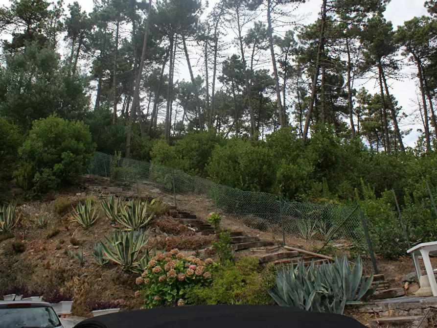 Immagine 45 di Casa semindipendente in vendita  in Via C. A. Fabbricotti 18 a Ameglia