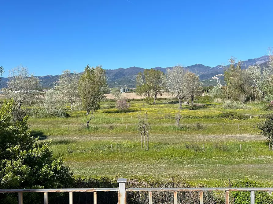 Immagine 2 di Terratetto in vendita  in Viale Litoraneo a Sarzana