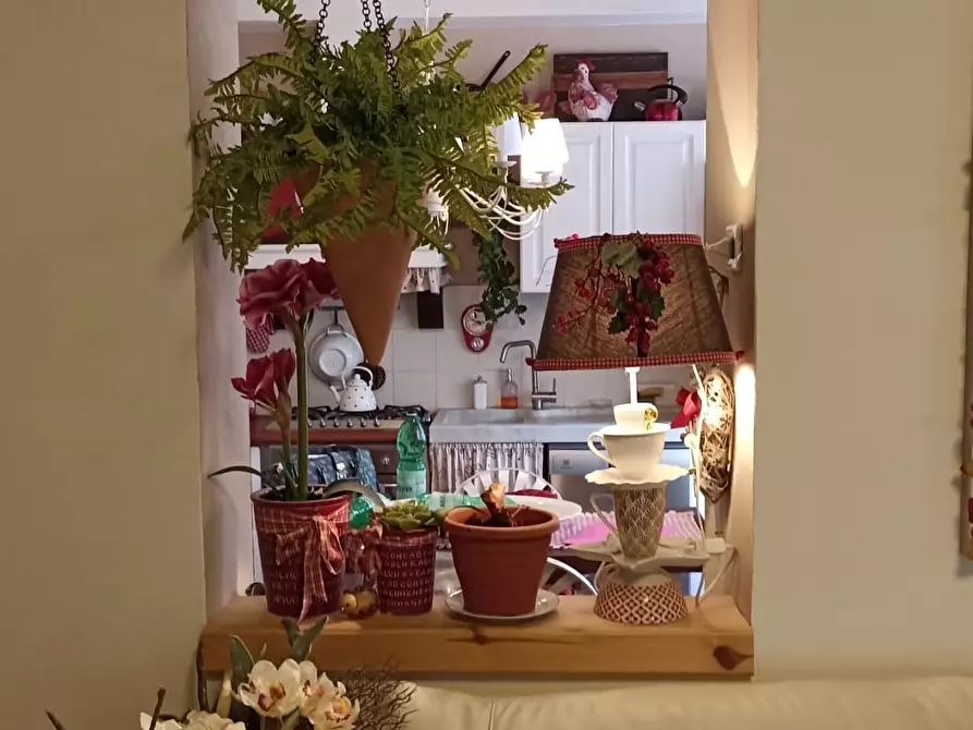 Immagine 5 di Appartamento in vendita  in Via Carlo Fontana 11 a Carrara