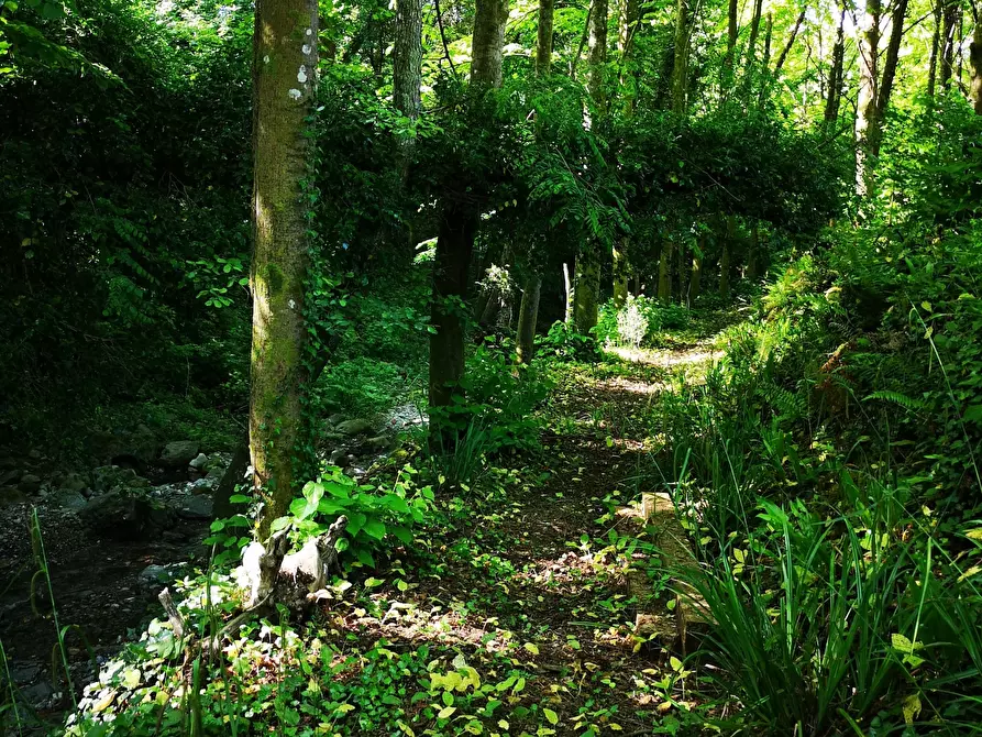 Immagine 52 di Rustico / casale in vendita  in Via Molino del Piano 1 a Castelnuovo Magra