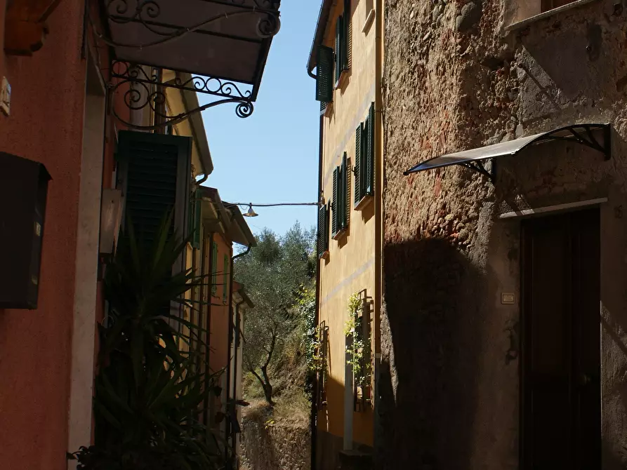 Immagine 54 di Villa in vendita  in Via Annunziata a Ortonovo