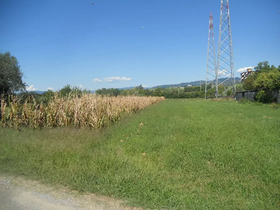 Immagine 1 di Terreno agricolo in vendita  in Via Gragnola 13 a Castelnuovo Magra