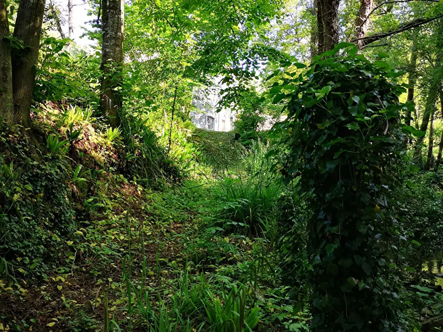 Immagine 54 di Rustico / casale in vendita  in Via Molino del Piano 1 a Castelnuovo Magra