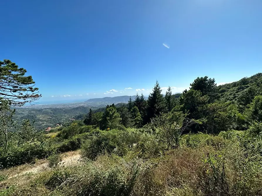 Immagine 28 di Villa in vendita  in Via Pianaccia a Fosdinovo
