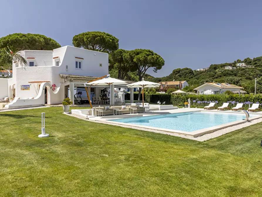 Immagine 4 di Villa in affitto  in Via XXIV Maggio 44 a San Felice Circeo