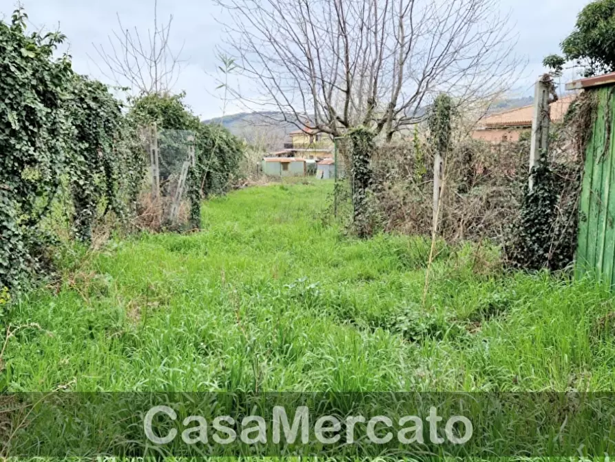 Immagine 4 di Terreno agricolo in vendita  in Via dei Castagni a Rocca Di Papa