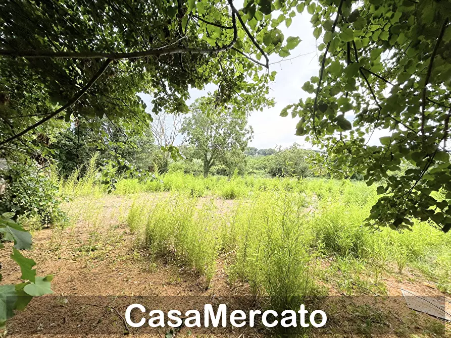 Immagine 10 di Rustico / casale in vendita  a Grottaferrata
