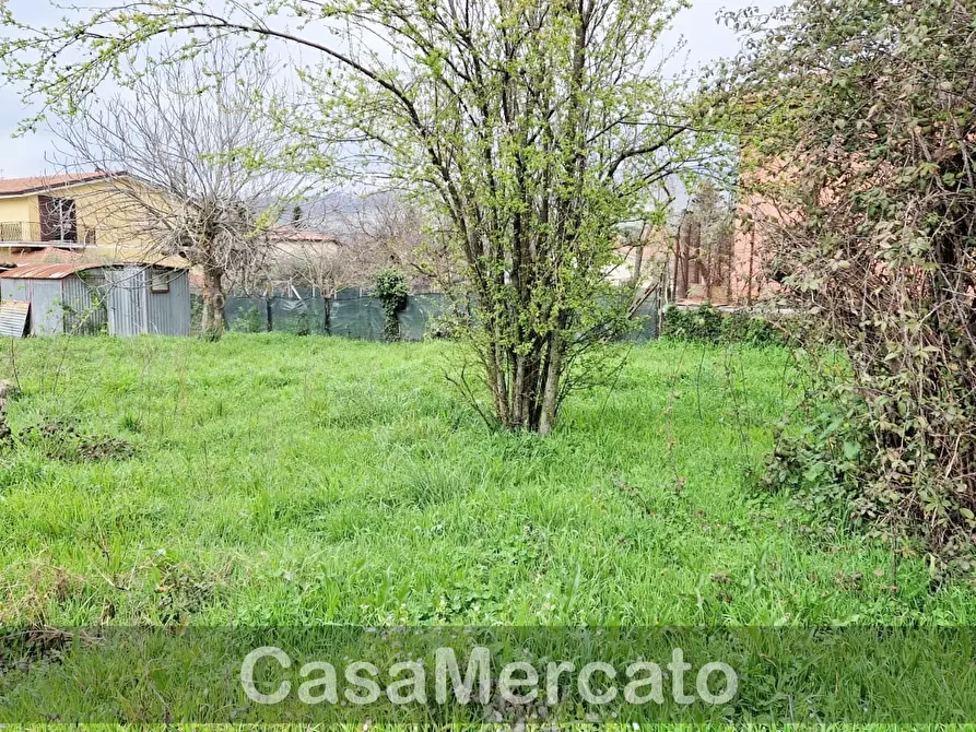 Immagine 6 di Terreno agricolo in vendita  in Via dei Castagni a Rocca Di Papa