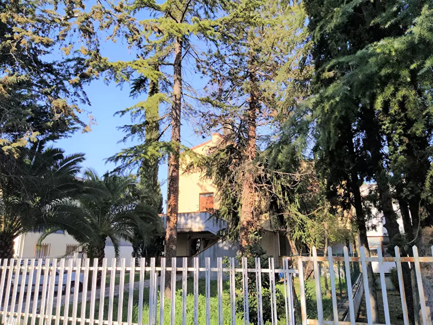 Immagine 5 di Laboratorio in vendita  in Via Fausto Coppi 78 a Macerata