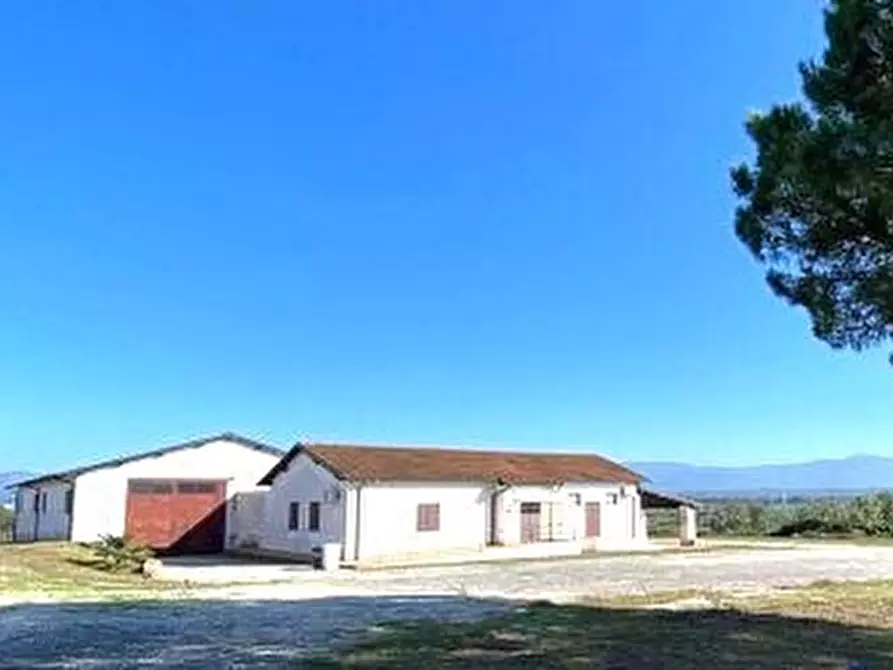 Immagine 5 di Capannone industriale in affitto  a Fiano Romano