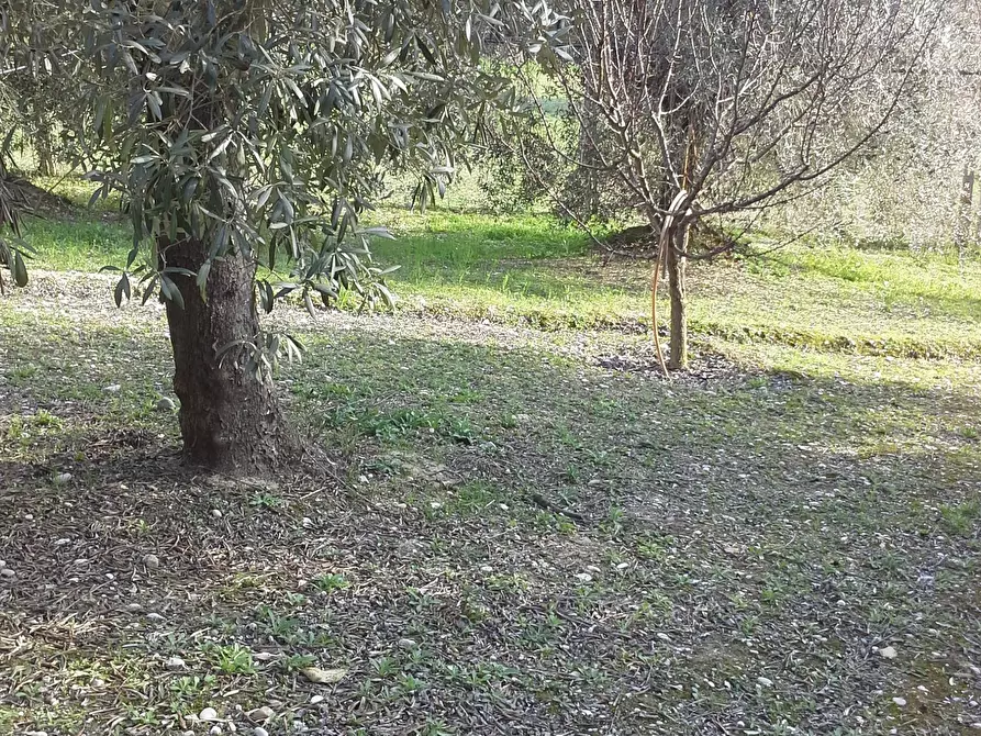 Immagine 26 di Casa indipendente in vendita  a San Benedetto Del Tronto