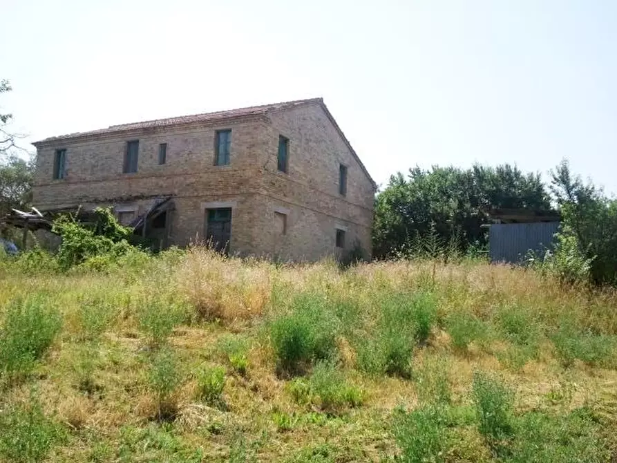 Immagine 3 di Rustico / casale in vendita  a Offida