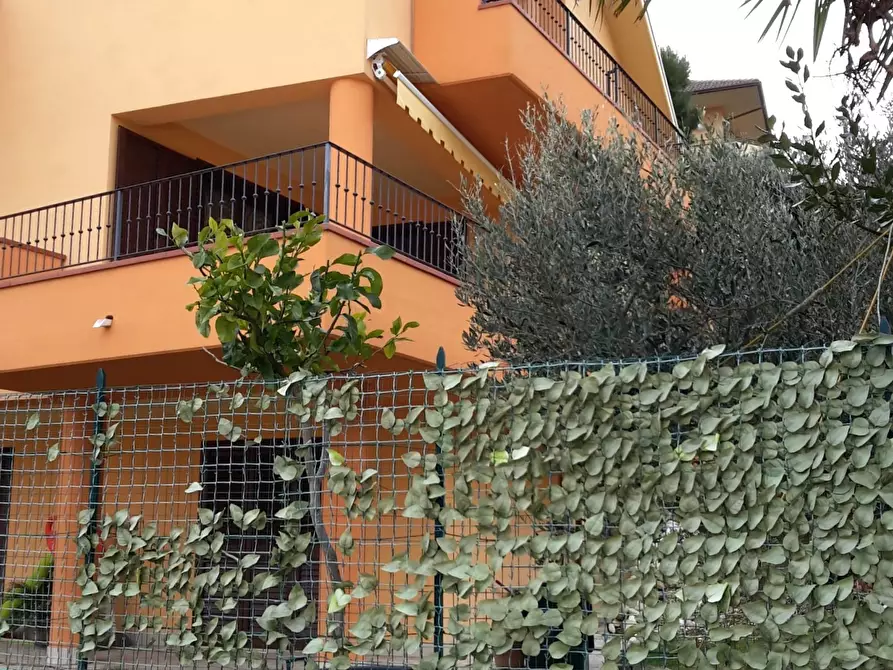 Immagine 31 di Casa indipendente in vendita  a Colonnella