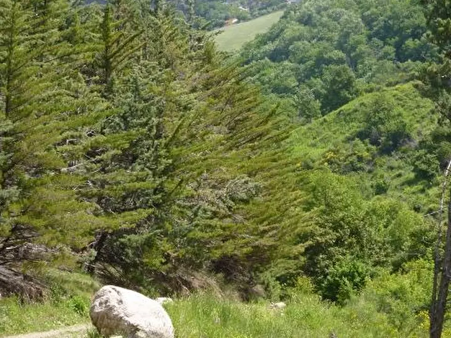 Immagine 32 di Quadrilocale in vendita  in VIA ARIOSTO a San Fele