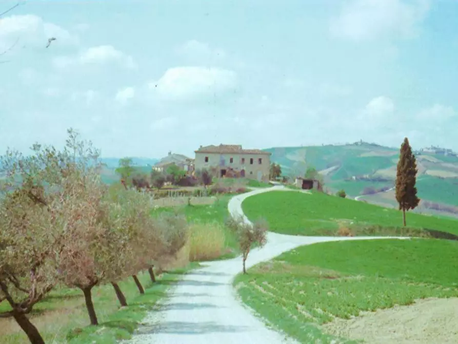 Immagine 1 di Casa indipendente in vendita  a Offida