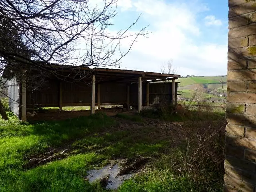 Immagine 18 di Rustico / casale in vendita  a Offida