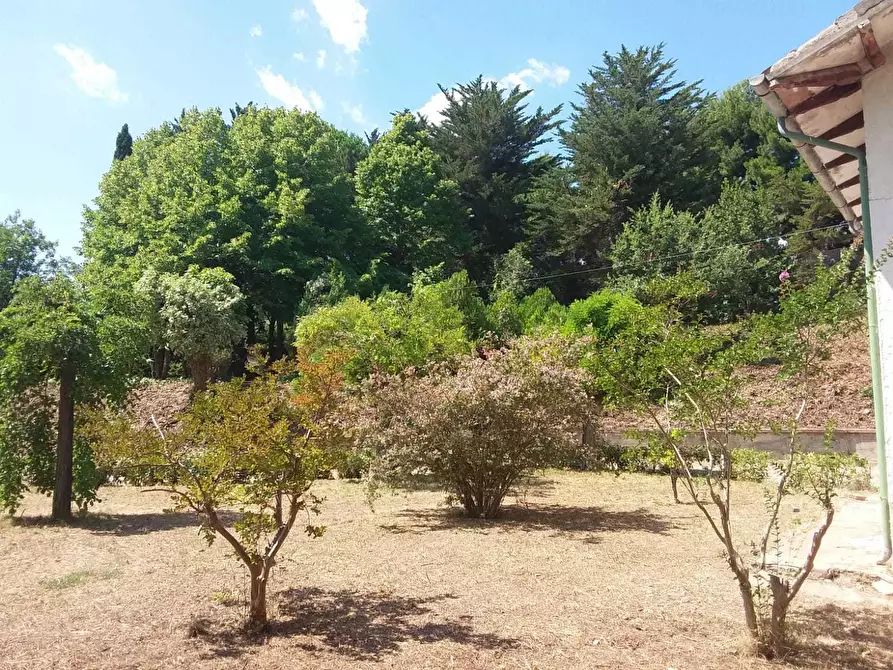 Immagine 28 di Terreno edificabile in vendita  a Tortoreto