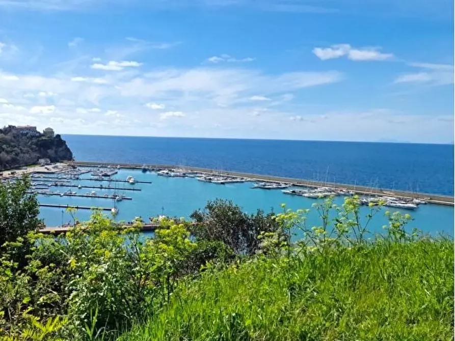 Immagine 3 di Attività commerciale in vendita  a Agropoli