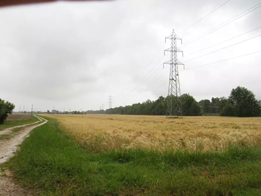 Immagine 3 di Terreno agricolo in vendita  a Falconara Marittima