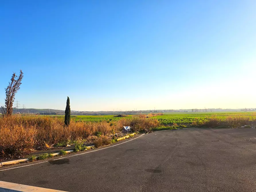 Immagine 8 di Terreno industriale in vendita  a Tarquinia