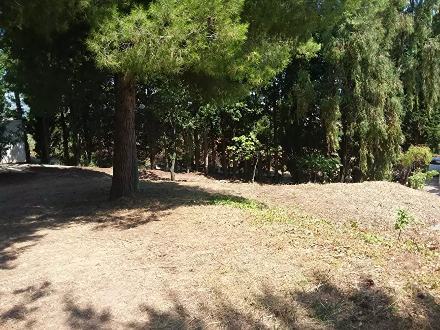 Immagine 35 di Casa indipendente in vendita  a Tortoreto