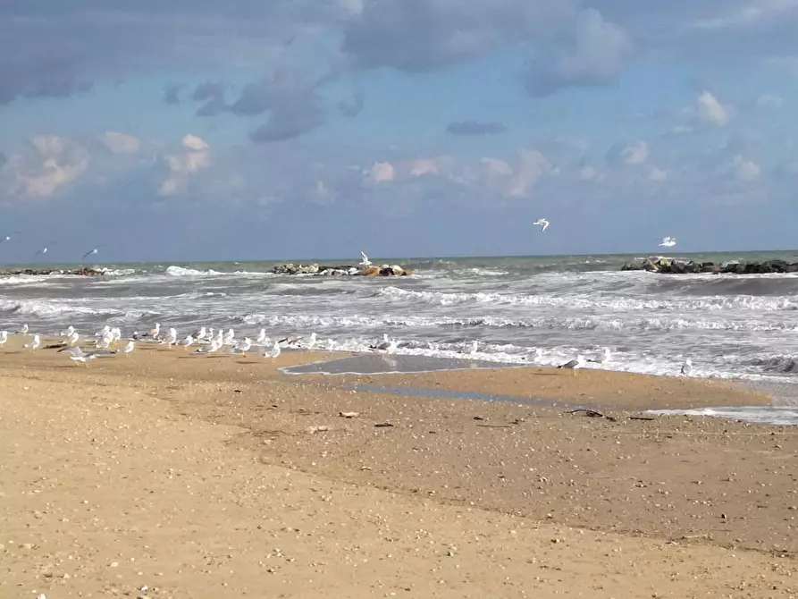 Immagine 9 di Attività commerciale in vendita  a Cupra Marittima