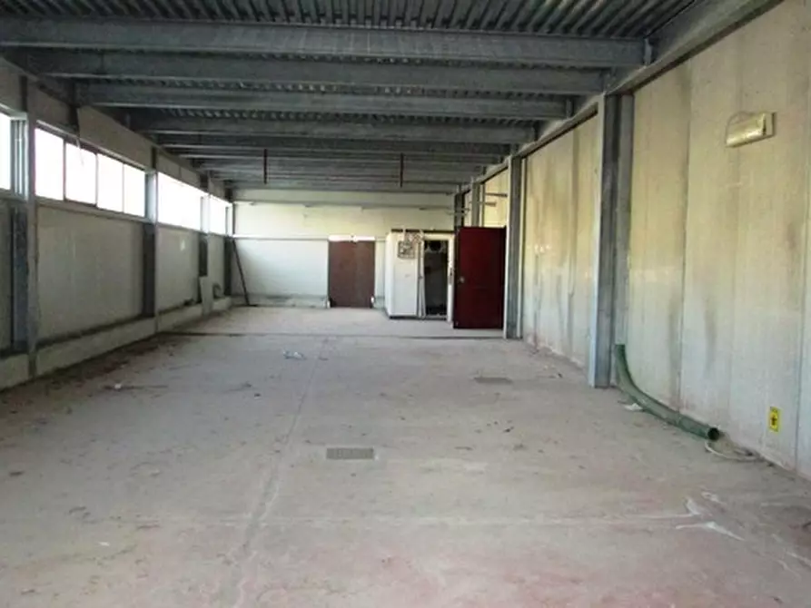 Immagine 18 di Capannone industriale in vendita  a Colonnella