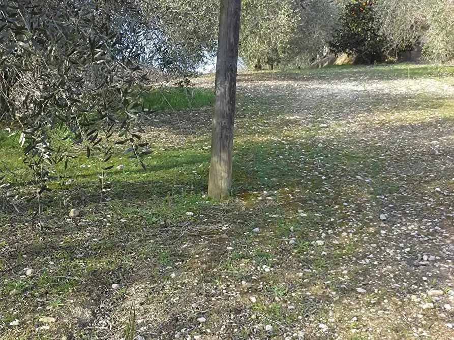 Immagine 20 di Casa indipendente in vendita  a San Benedetto Del Tronto