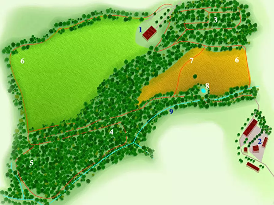 Immagine 11 di Azienda agricola in vendita  in periferia a Petritoli