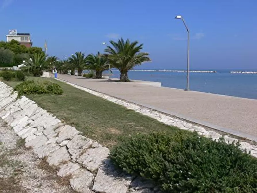 Immagine 8 di Attività commerciale in vendita  a Cupra Marittima