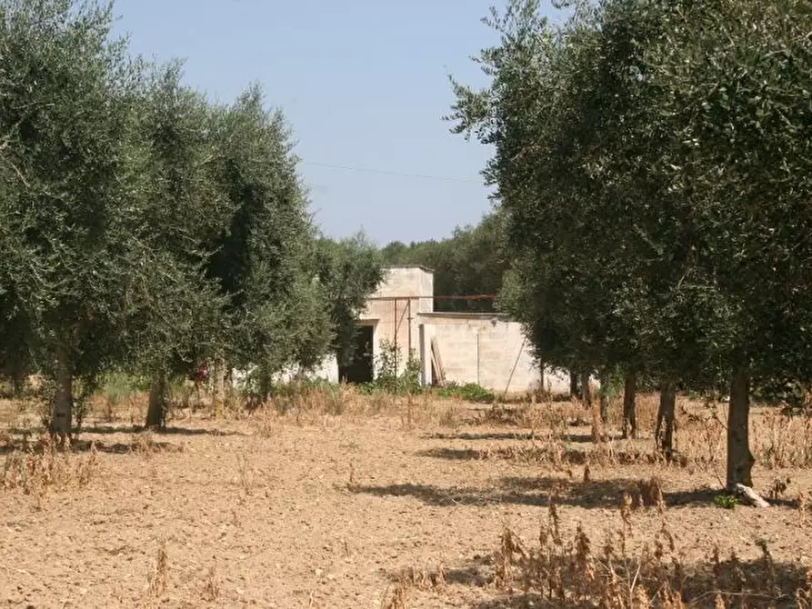 Immagine 1 di Terreno agricolo in vendita  in contrada mandrò a Cutrofiano