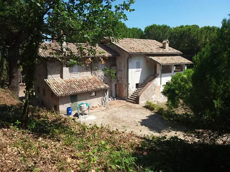 Immagine 14 di Casa indipendente in vendita  a Tortoreto