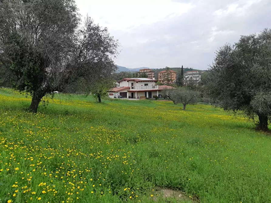 Immagine 9 di Terreno edificabile in vendita  a Appignano Del Tronto