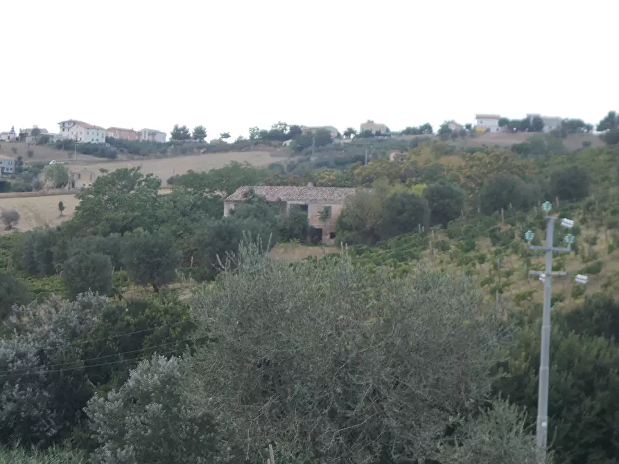 Immagine 33 di Casa indipendente in vendita  a Colonnella