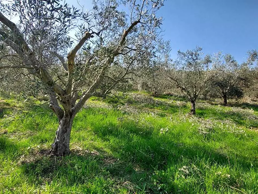 Immagine 23 di Casa indipendente in vendita  a San Benedetto Del Tronto