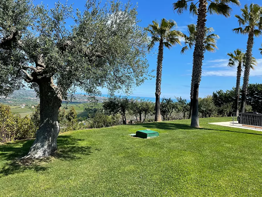 Immagine 10 di Casa indipendente in vendita  a Morro D'oro