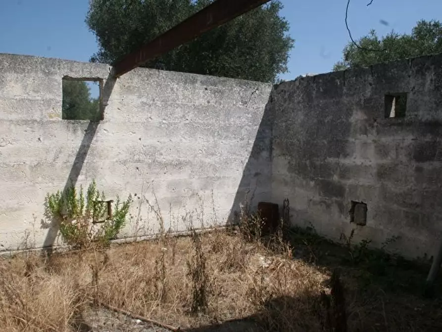Immagine 9 di Terreno agricolo in affitto  in contrada mandrò a Cutrofiano