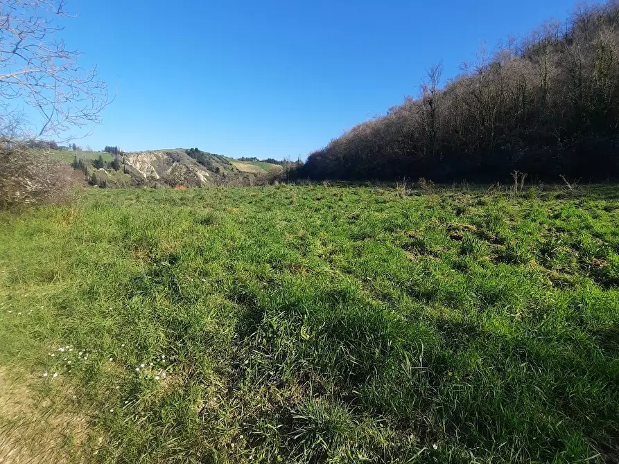 Immagine 7 di Casa indipendente in vendita  in cantina Cocci Grifoni a Ripatransone