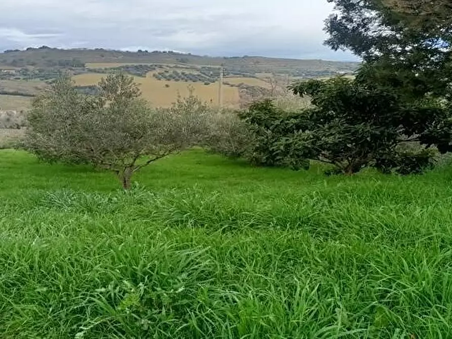 Immagine 9 di Terreno agricolo in vendita  in Contrada Monte Aquilino a San Benedetto Del Tronto
